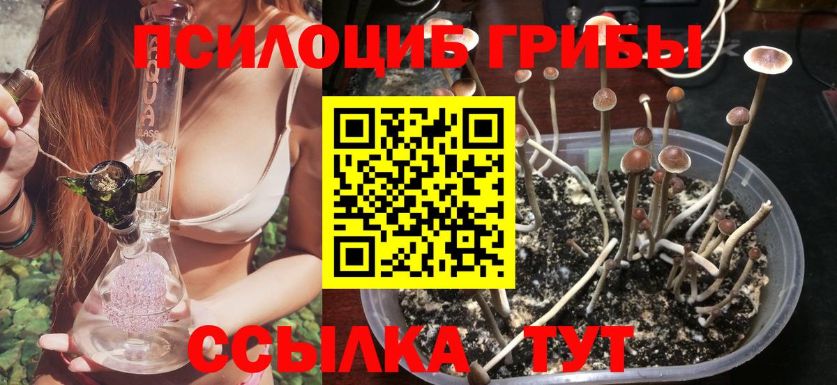Галлюциногенные грибы MAGIC MUSHROOMS  Вход с VPN  Новокубанск 