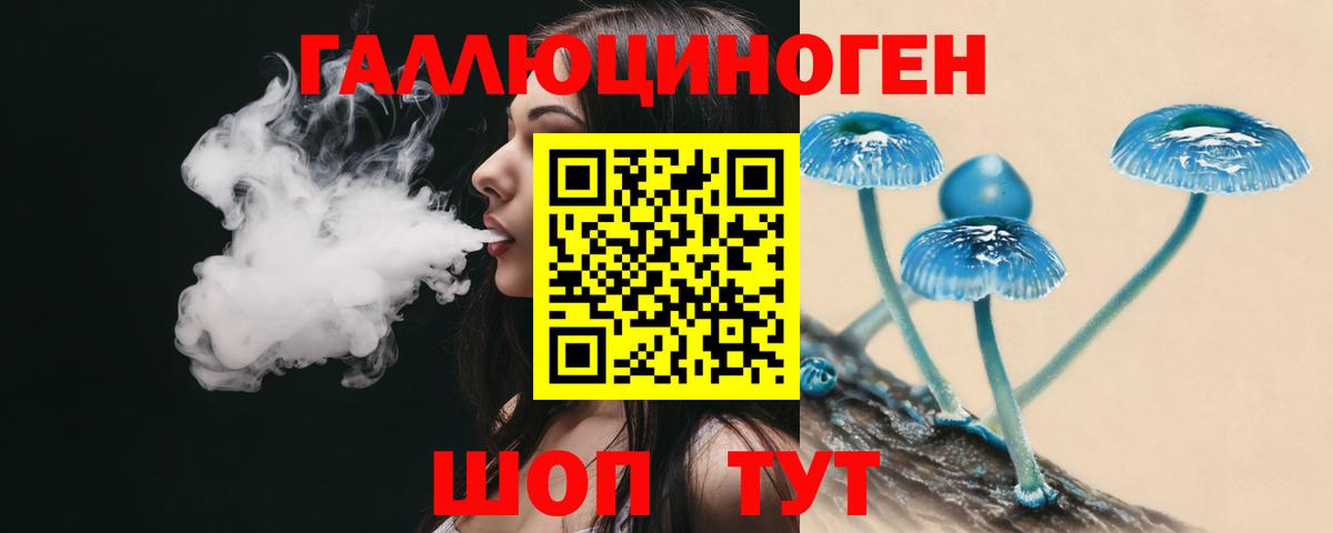 Галлюциногенные грибы ЛСД Новокубанск